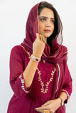 APNAसा Cherry Red Anarkali Set