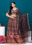 APNASA Musline SIlk Handwork Lehenga Set