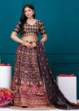 APNASA Musline SIlk Handwork Lehenga Set