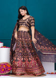 APNASA Musline SIlk Handwork Lehenga Set