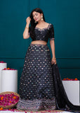 Musline SIlk Handwork Lehenga Set